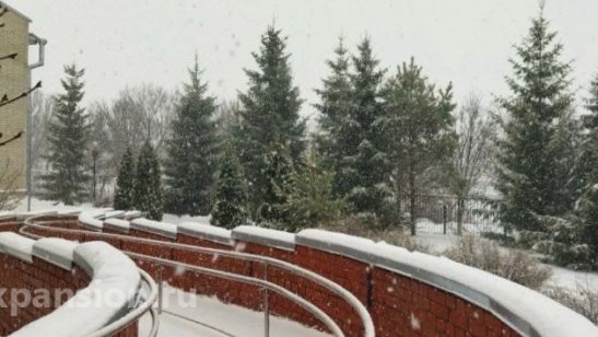 «Белогорновский дом-интернат для престарелых и инвалидов» фото 6